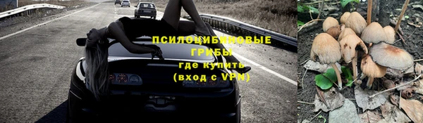 герыч Богородск