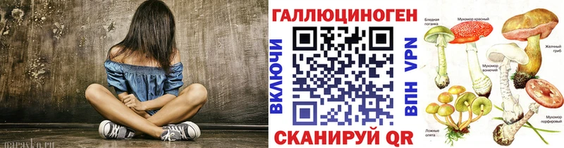 закладка  Мценск  Галлюциногенные грибы GOLDEN TEACHER 